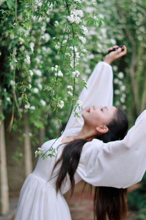 什邡的"七里香"已花开如瀑!打卡拍照巨出片