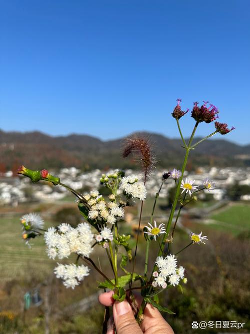 陪伴之旅,圆满结束[比心]