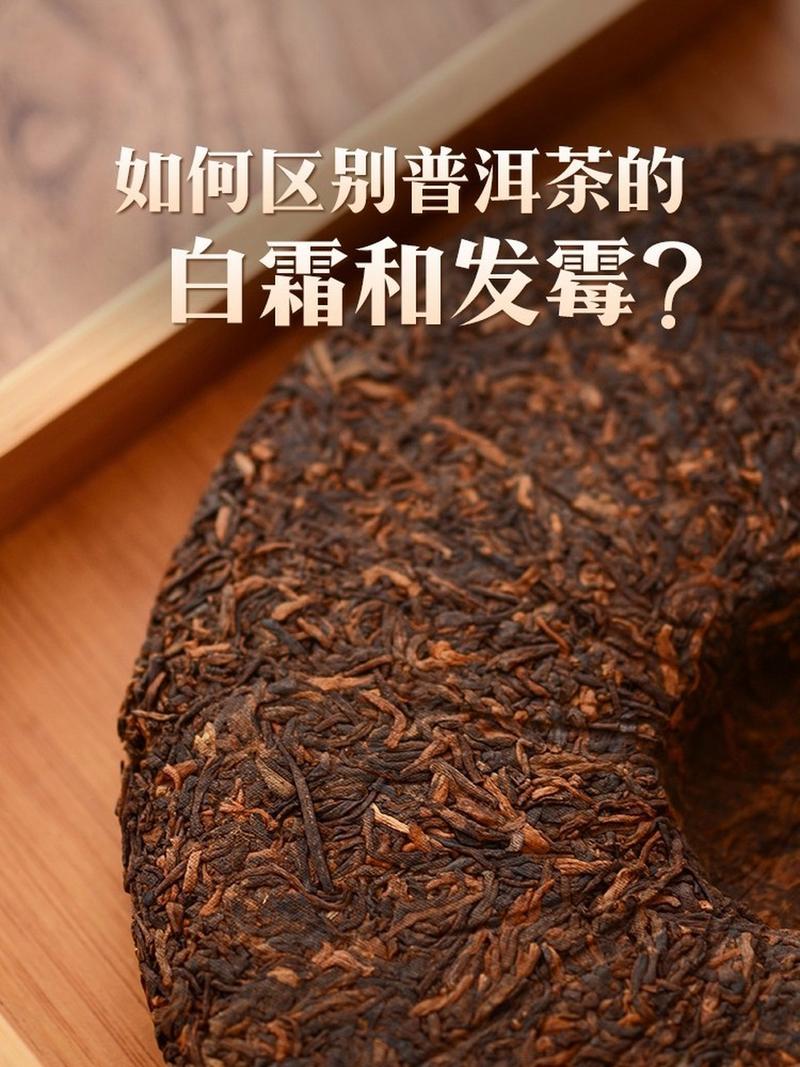 如何区别普洱茶的白霜和发霉?