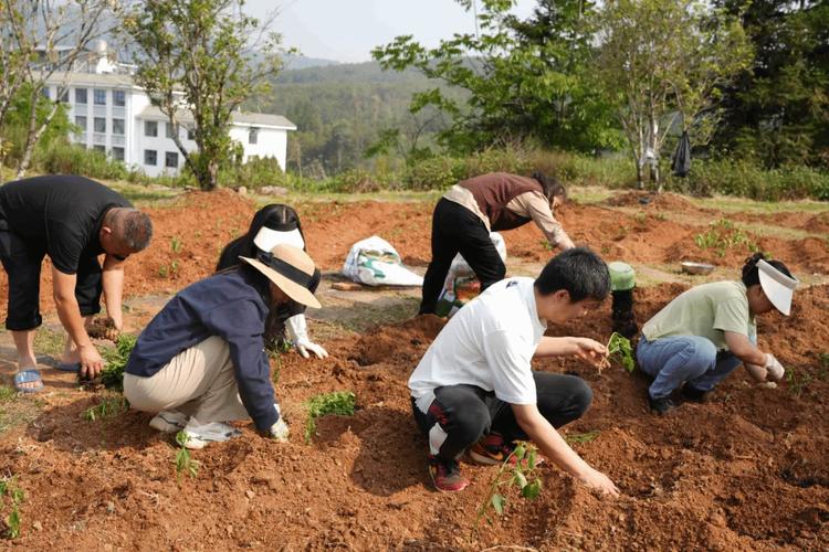 北海镇干部职工齐动手共建机关小菜园