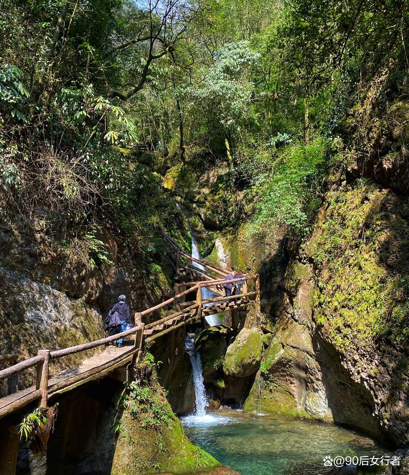 第一次登顶青城后山,景色比预想中美,20元门票真的很值