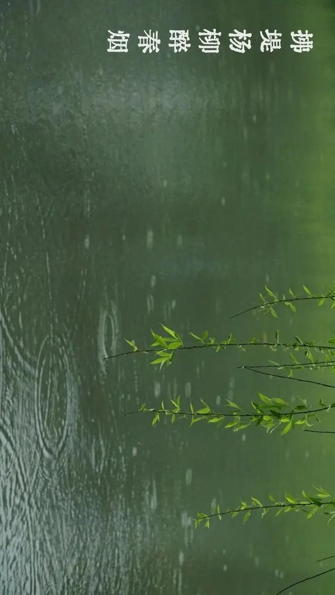 4月4日,今天是清明节,清明时节雨纷纷,欢迎游客们来田园法官