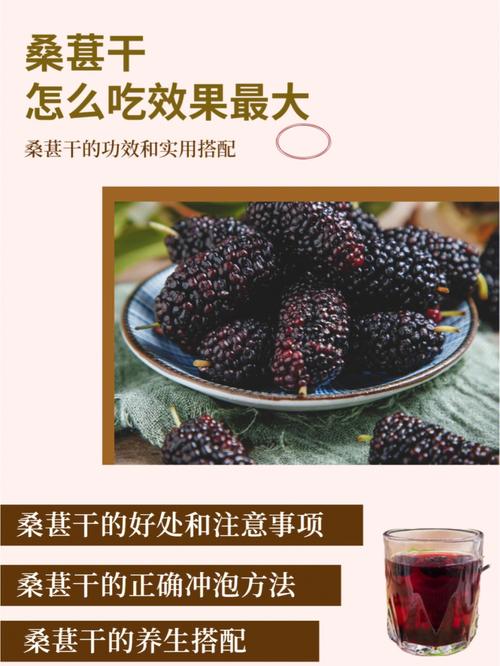 桑葚干怎么喝效果最大60附866种实用搭配