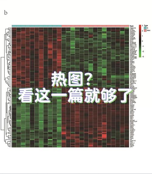 热图看这一篇就够了