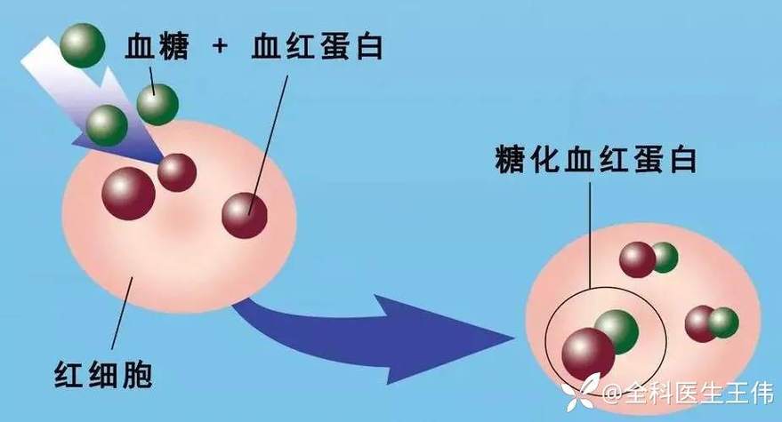 丁香园论坛>临床检验>帖子详情>糖化血红蛋白是指血中的葡萄糖与血红