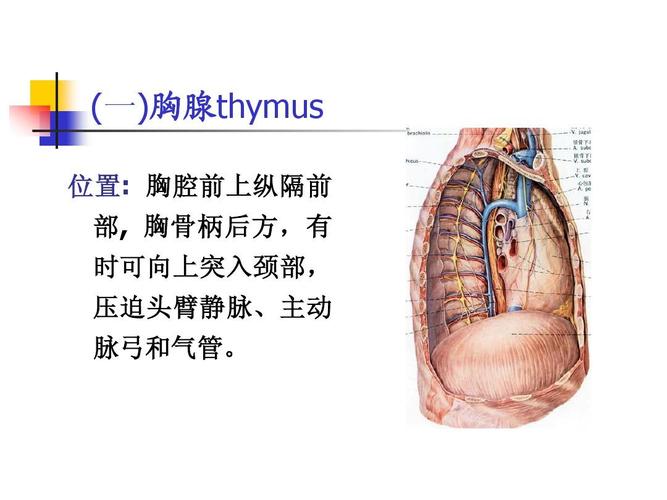 word文档在线阅读与