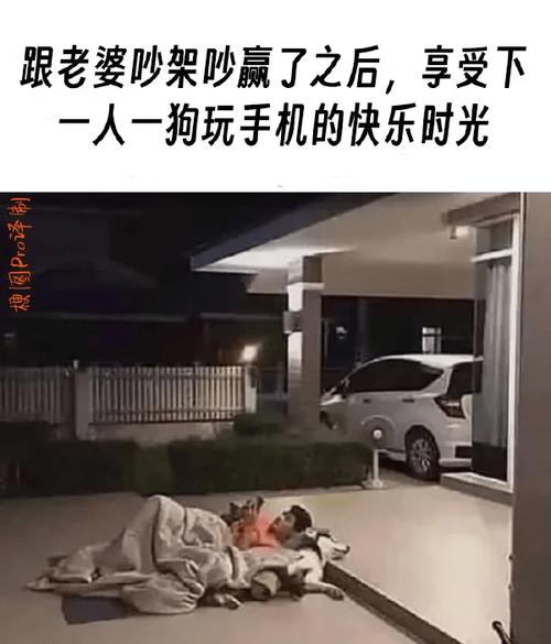 室友带女友回合租公寓过夜咋办?在线求助网友支招太损了哈哈