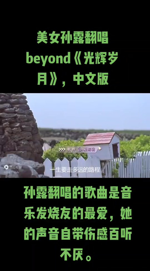 光辉岁月的意思和含义是什么