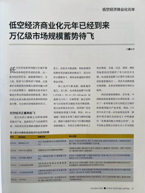 受邀为《中国风险投资》杂志(2024/10)撰文,"低坑经济商业化原年已经