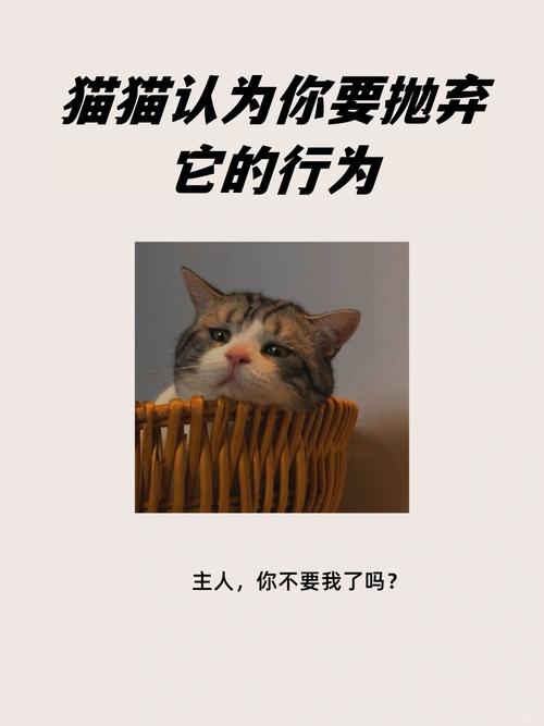 "猫猫认为你要抛弃它的行为! 这些行为不要做了,猫猫会伤心. 1