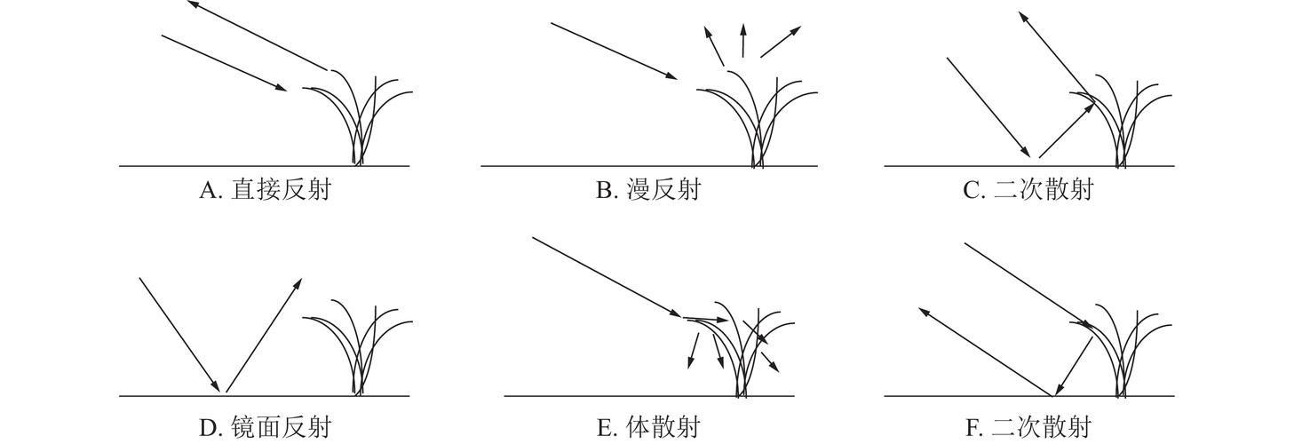 浙江农林大学学报