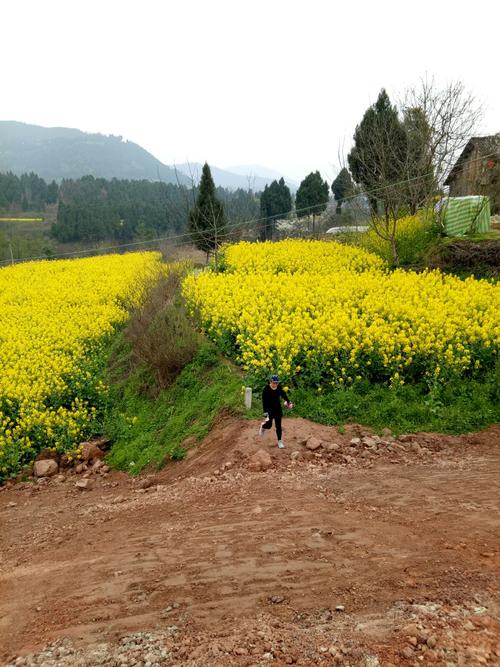 杨家山徒步归行