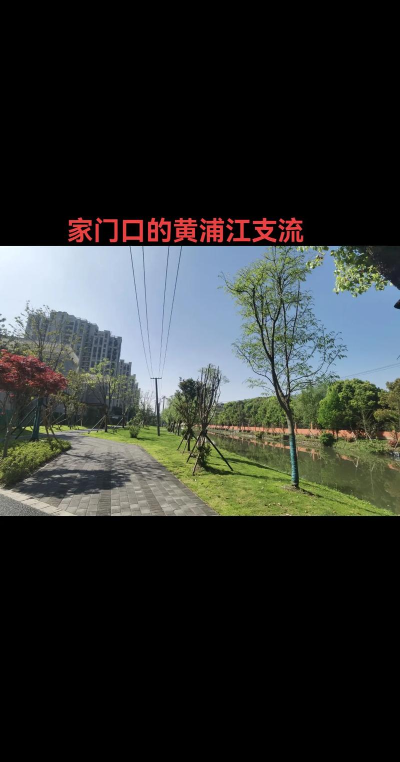 生态绿化环绕,网红地铁盘,一站到闵行.奉贤西渡5号线地铁站2