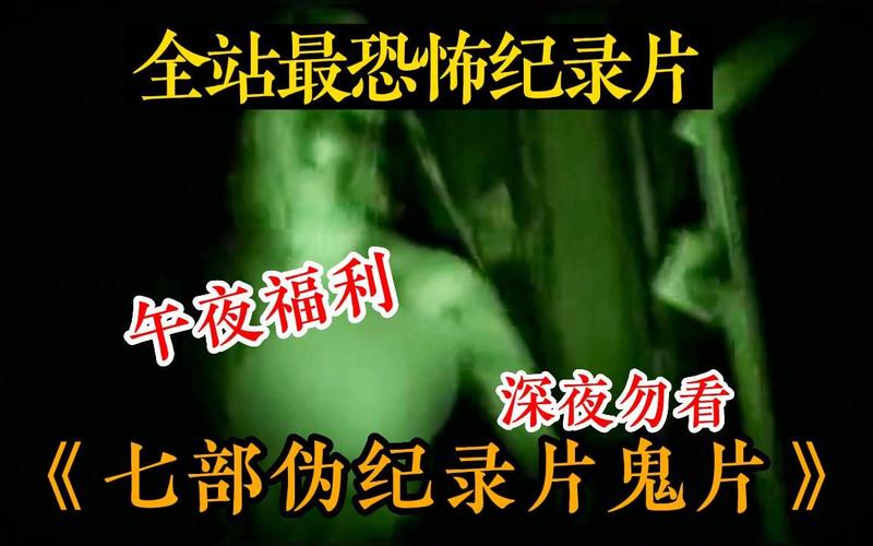 一口气看完六部超惊悚恐怖片,伪纪录片形式,真实感满满!