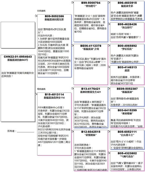 新福雷迪同窝兄弟子代