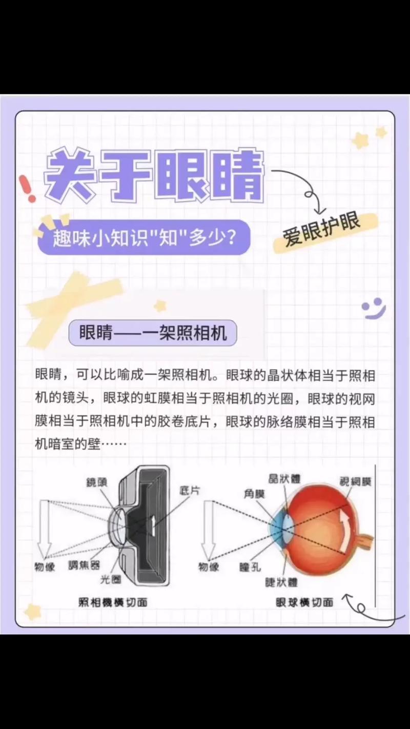 二年级科普小知识眼睛-二年级科普读物有哪些