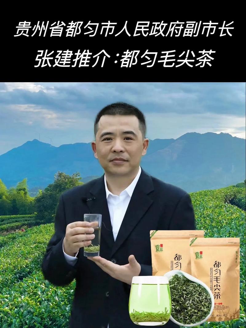 都匀毛尖茶属于绿茶,不发酵茶.以适宜茶树鲜叶新梢为原料,经过