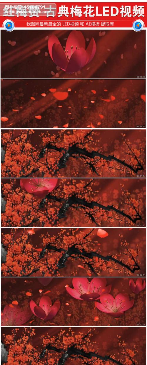 红梅赞古典梅花开放led背景视频